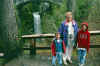 falls.jpg (87389 bytes)